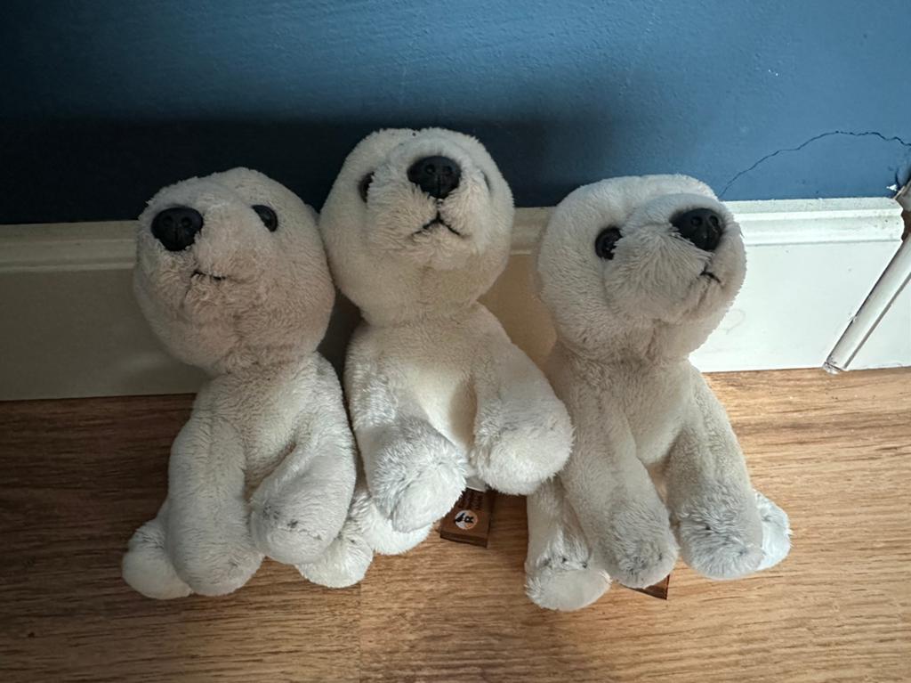 3 kleine ijsbeertjes, Ophalen of Verzenden, Zo goed als nieuw, Overige typen