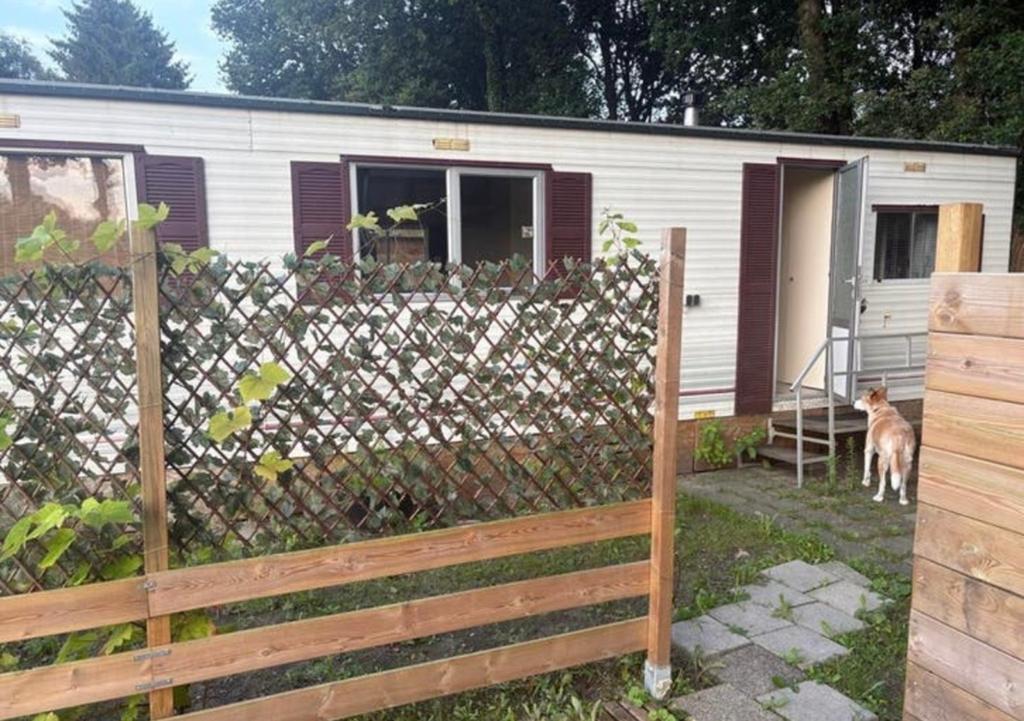 Comfortabel chalet met 2 slaapplaatsen jaarplaats, Tot en met 2