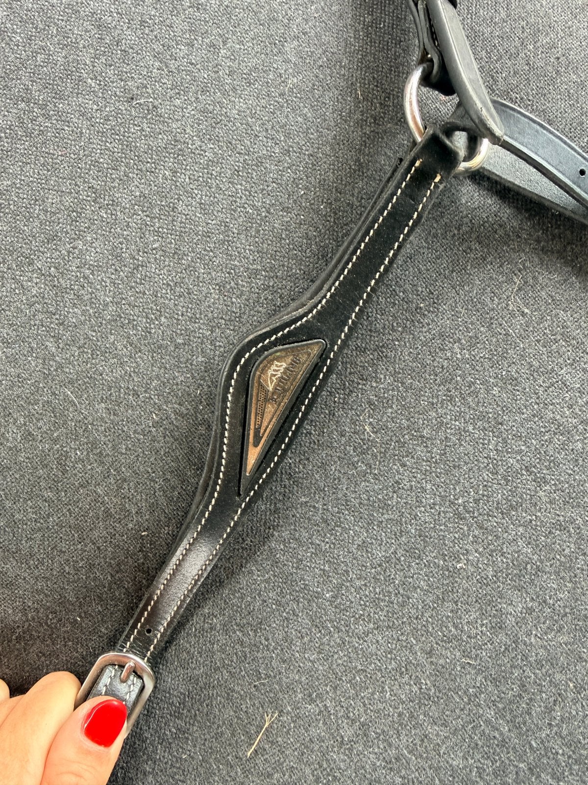 Borsttuig equiline, Ophalen of Verzenden, Borsttuig, Verstelbaar, Zwart