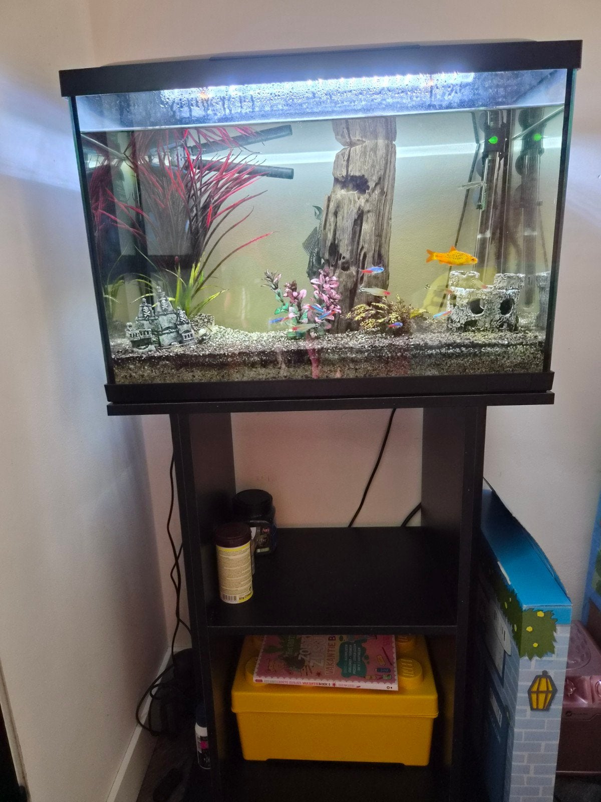 superfish aquarium 70, Dieren en Toebehoren, Ophalen, Gevuld zoetwateraquarium