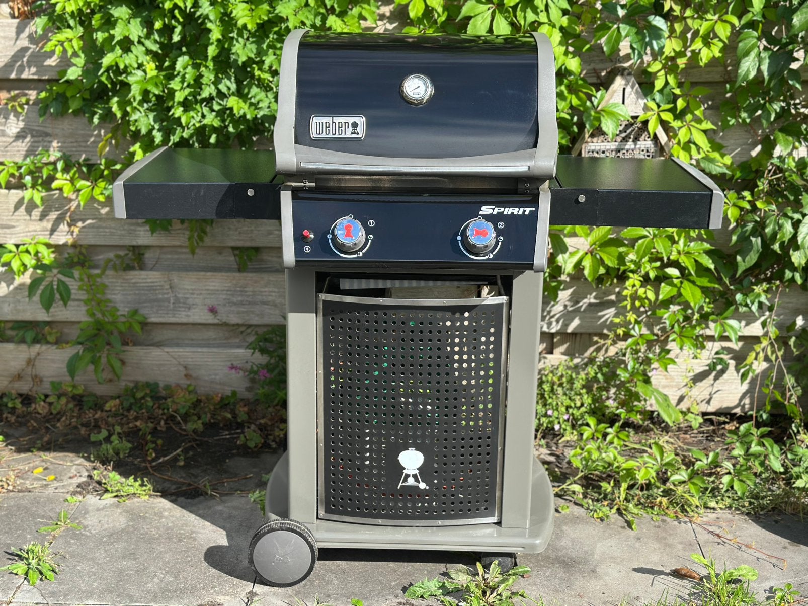Weber Spirit Classic E219, Tuin en Terras, Ophalen, Gebruikt, Weber