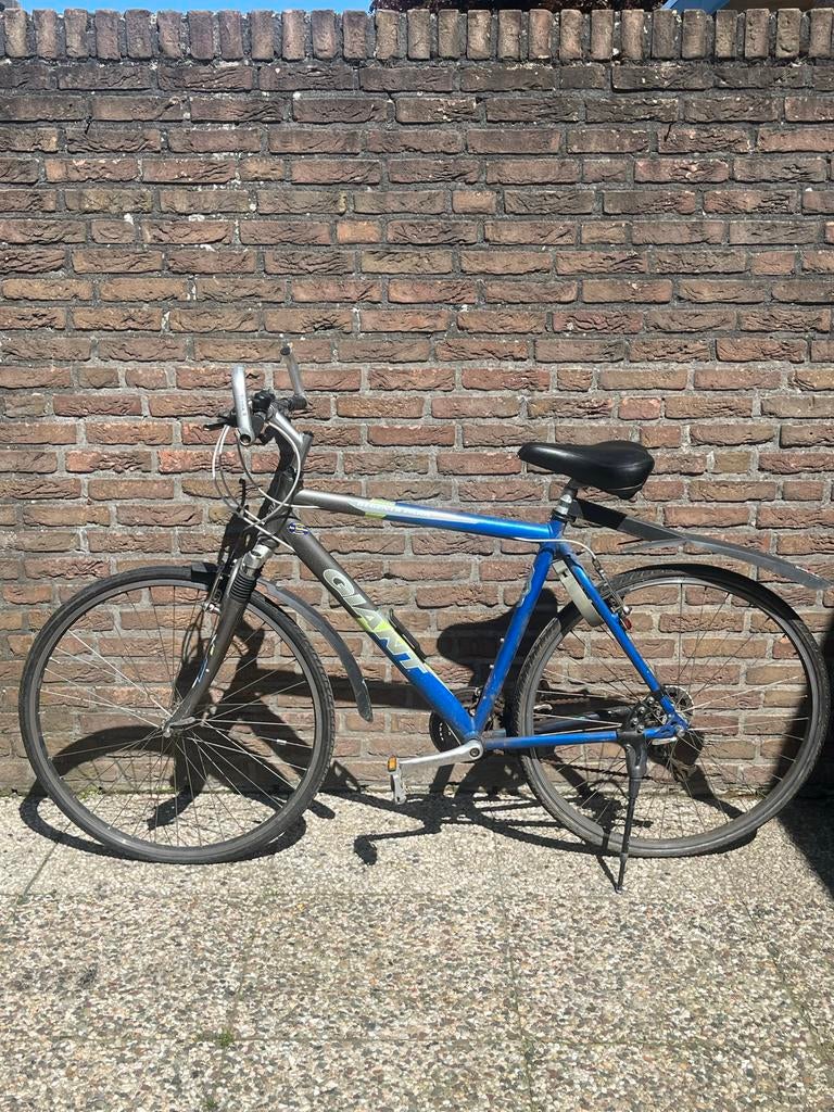Giant Regents Park Herenfiets, Gebruikt, Velgrem, Versnellingen, 53 tot 57 cm