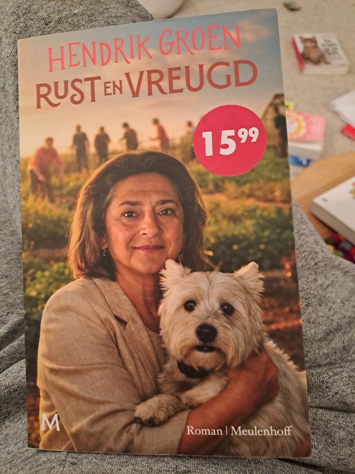 Rust en Vreugd - Hendrik Groen, Boeken, Ophalen of Verzenden, Zo goed als nieuw, Hendrik Groen