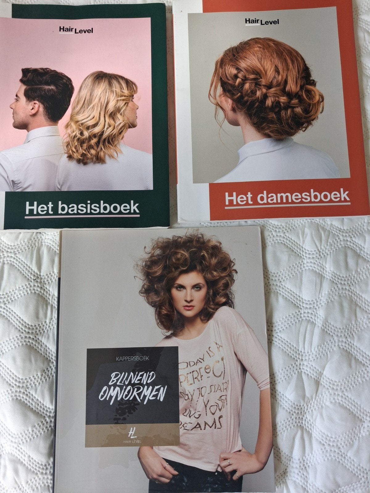 Hair Level Kappersboeken: Basisboek, Damesboek, Omvormen, Ophalen of Verzenden, Gelezen, MBO, Hair Level