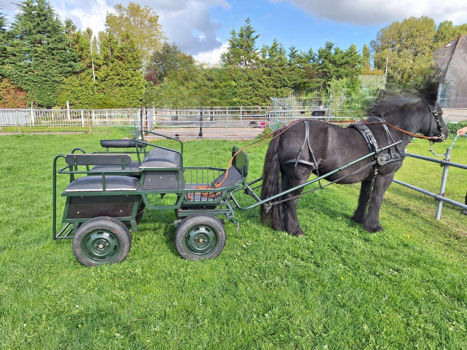 degelijk goed onderhouden pony wagen, Gebruikt, Marathonwagen, Pony