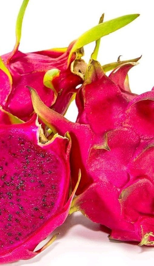 Zaden Hylocereus costaricensis (Drakenfruit 'rood'), Ophalen of Verzenden, Zaad