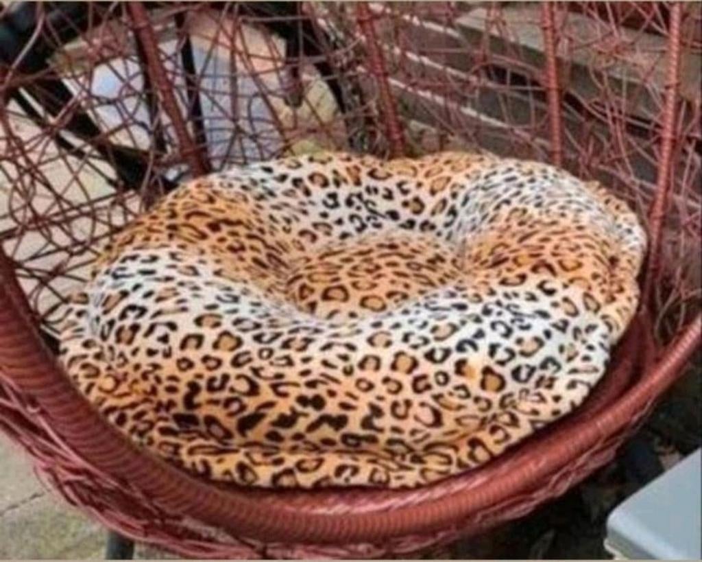 Leopard Kattenmand, Ophalen of Verzenden