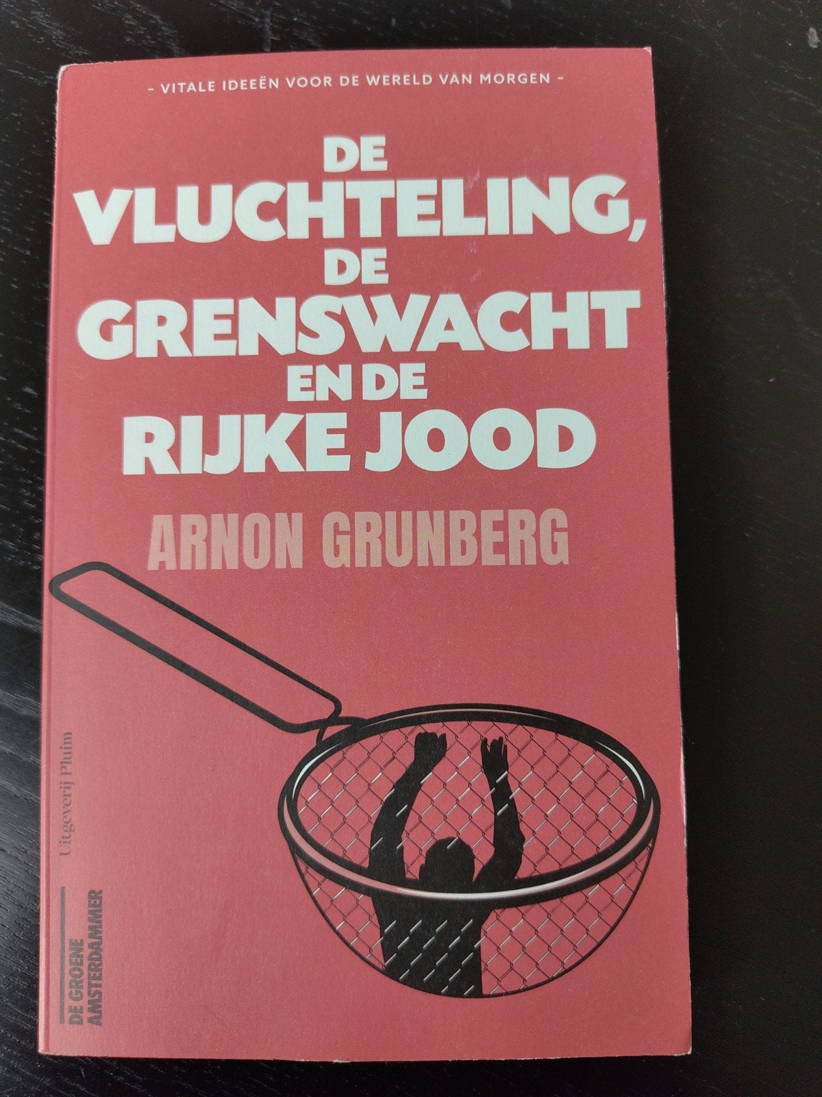 De Vluchteling, de Grenswacht en de Rijke Jood - A. Grunberg, Ophalen of Verzenden, Zo goed als nieuw, Arnon Grunberg