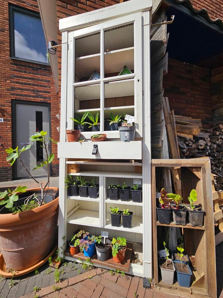 Diverse (groenten)planten, bloemen en kruiden te koop, Tuin en Terras, Planten | Tuinplanten, Ophalen, Zomer, Halfschaduw
