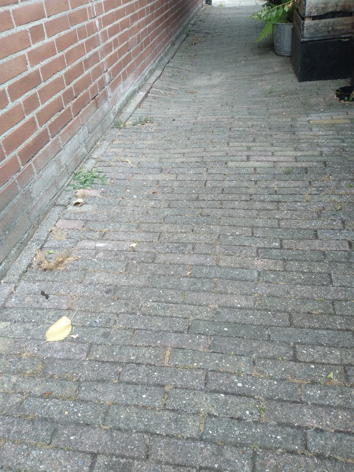 Gratis waaltjes tuin vol, Ophalen, Beton, Klinkers