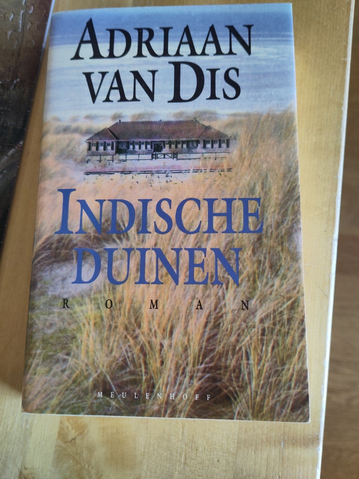 Adriaan van Dis - Indische duinen, Ophalen, Zo goed als nieuw, Adriaan van Dis
