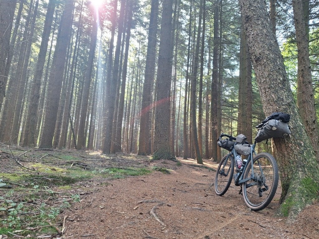 Ortlieb Bikepack Tassen Huren | Complete Set vanaf €39, Fietsen en Brommers, Fietsaccessoires | Fietstassen, Ophalen of Verzenden