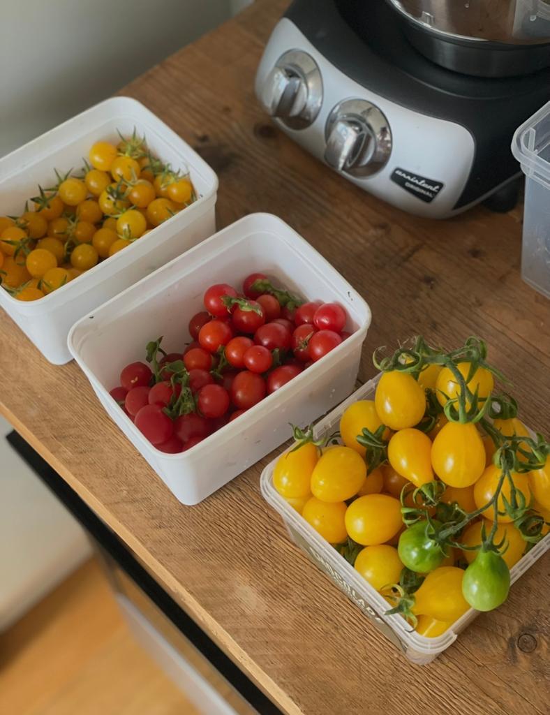 Tomatenplantjes te koop, Ophalen of Verzenden, Eenjarig, Groenteplanten, Volle zon
