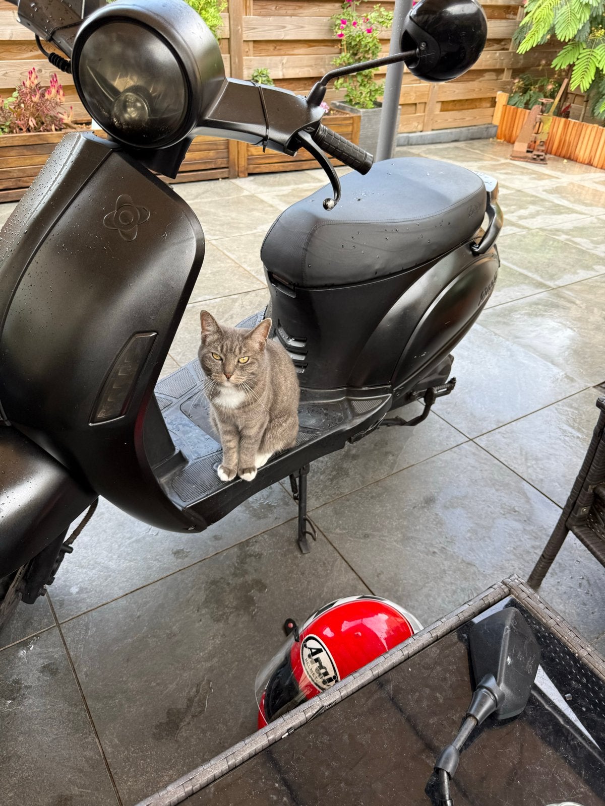 AGM Swan Scooter, Ophalen, Gebruikt, Overige typen, Overige merken