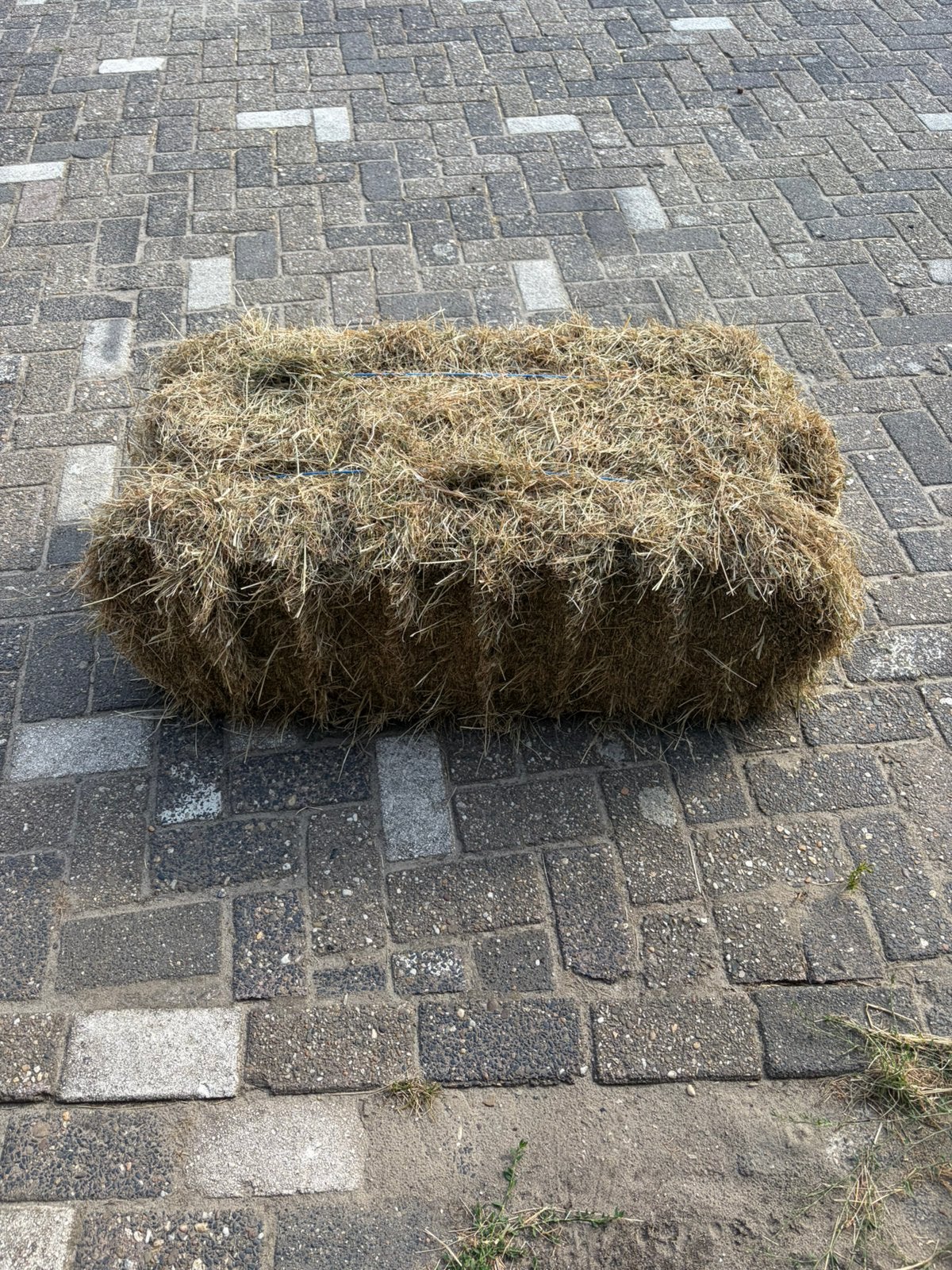 Te koop 1ste snede hooi