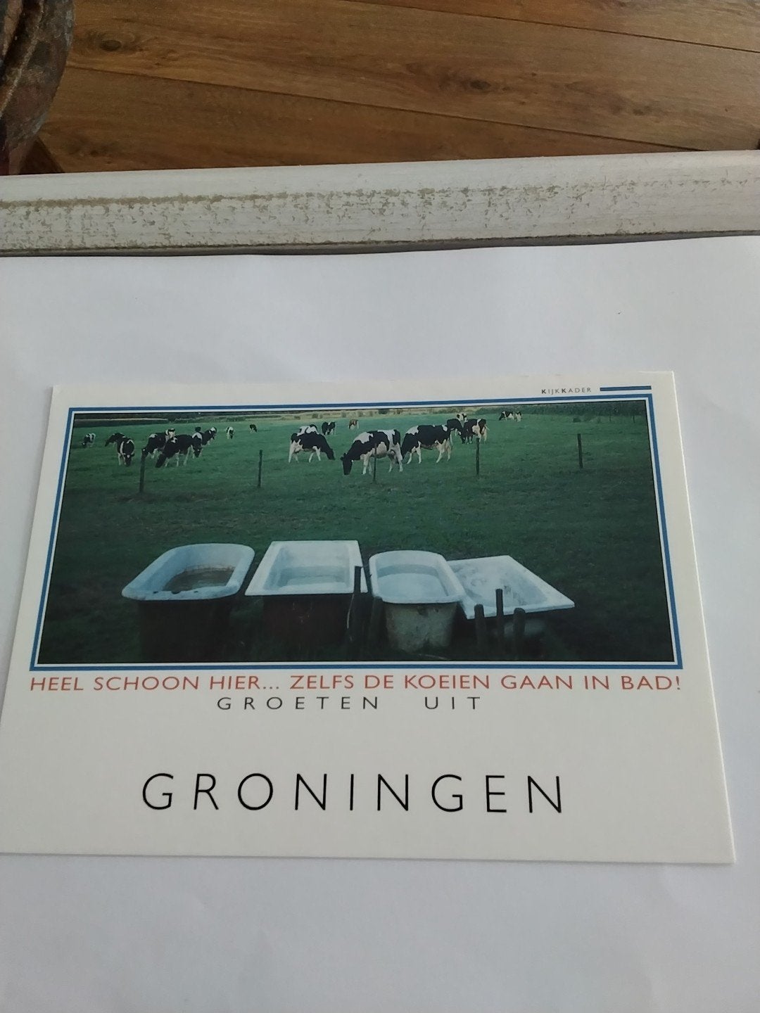 Ansichtkaart Groningen - Koeien in bad, Ophalen of Verzenden, 1980 tot heden, Ongelopen