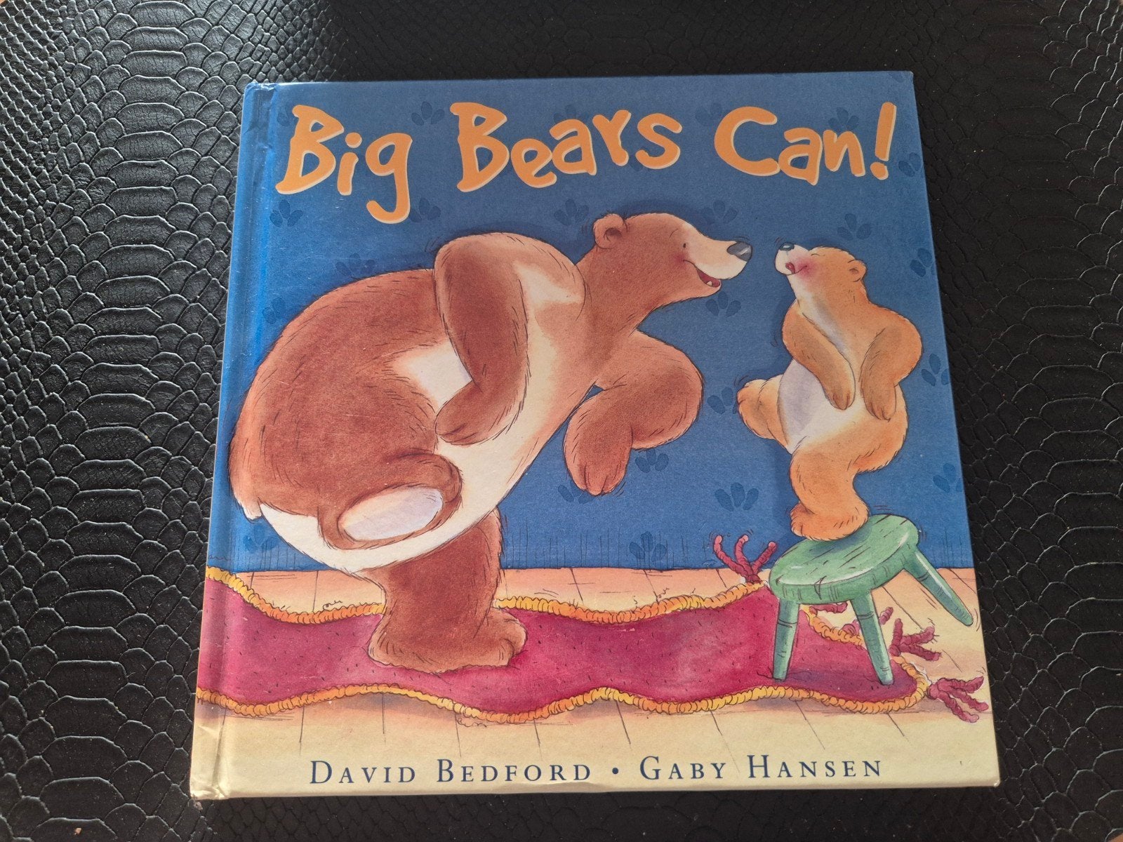 Big bears can !, Ophalen of Verzenden, Zo goed als nieuw, David bedford gaby hansen