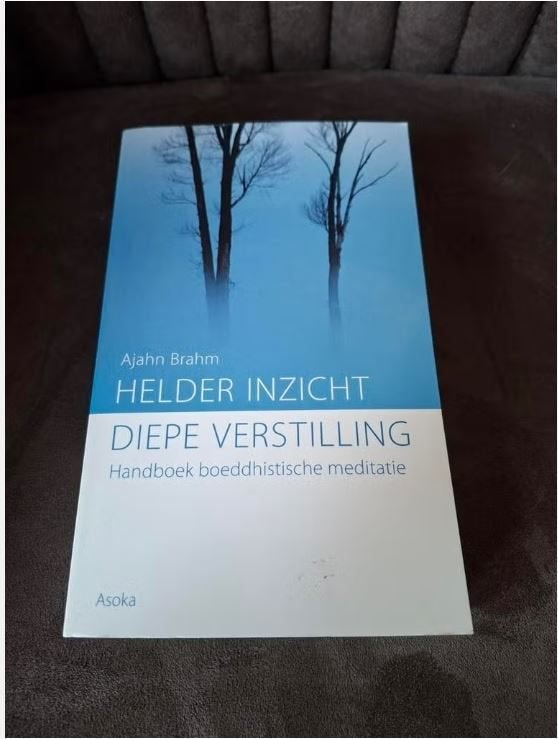 Helder Inzicht, Diepe Verstilling - Boeddhistische Meditatie, Ophalen of Verzenden, Zo goed als nieuw, Meditatie of Yoga, Overige typen