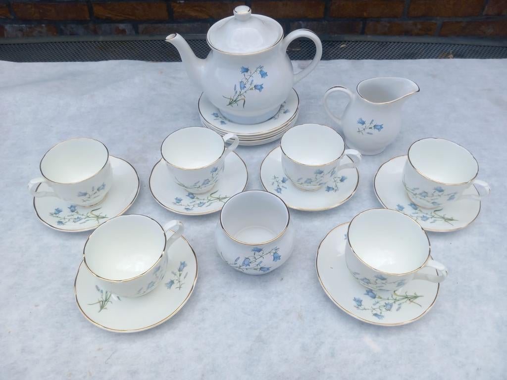 Sadler Welington Fine China theeservies - Made in England, Ophalen