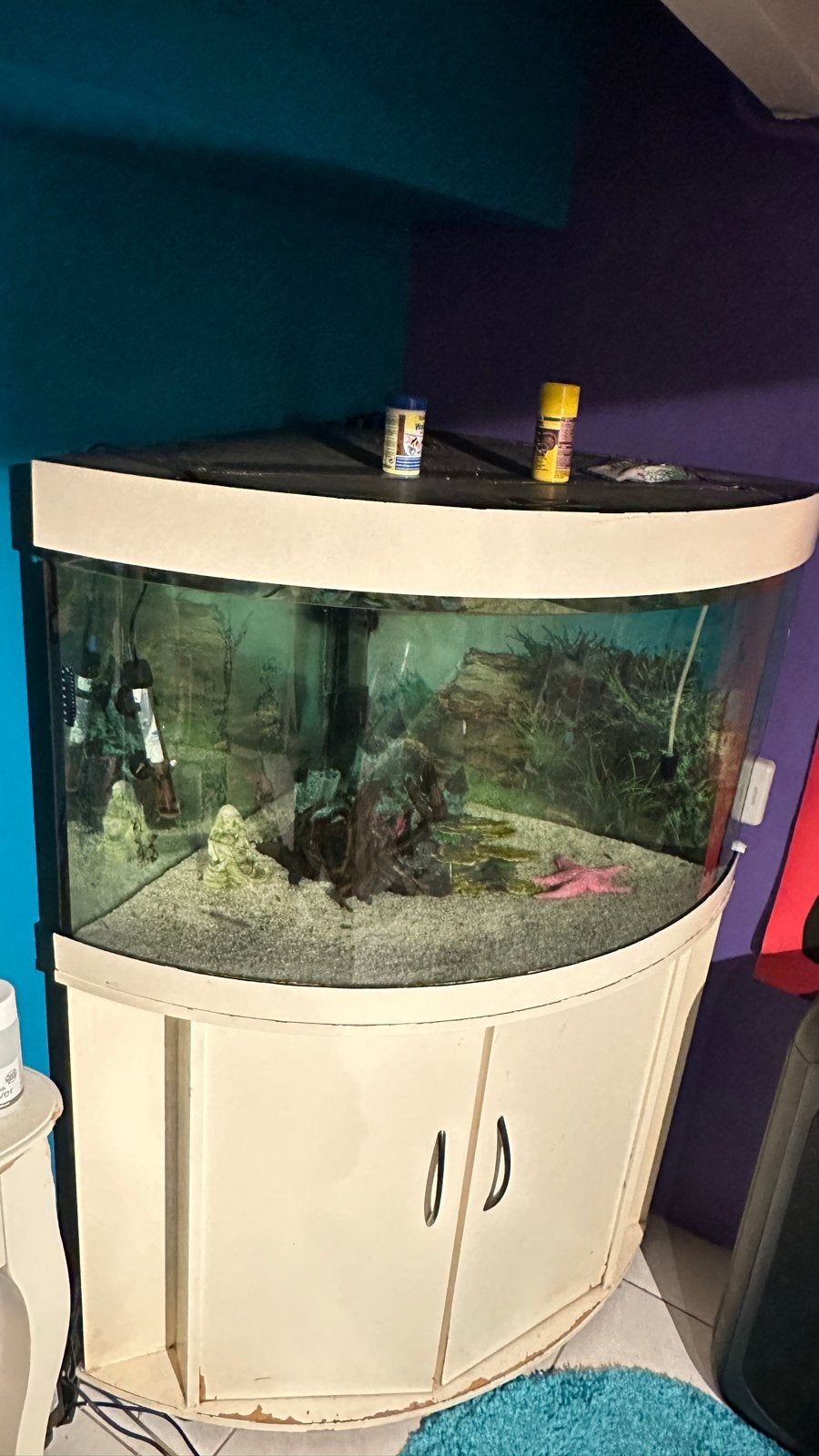 Aquarium, Dieren en Toebehoren, Vissen | Aquaria en Toebehoren, Ophalen, Leeg aquarium