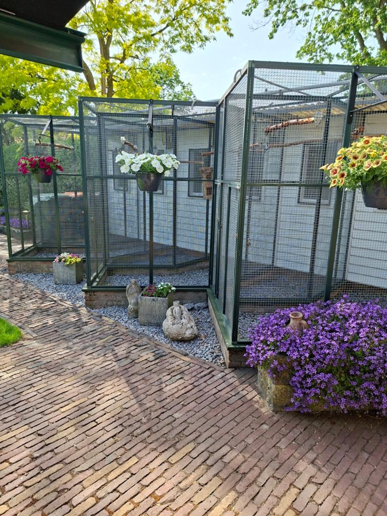 Mooie nette voliere, iets aparts., Dieren en Toebehoren, Vogels | Hokken en Kooien, Ophalen of Verzenden, Zo goed als nieuw, Aluminium