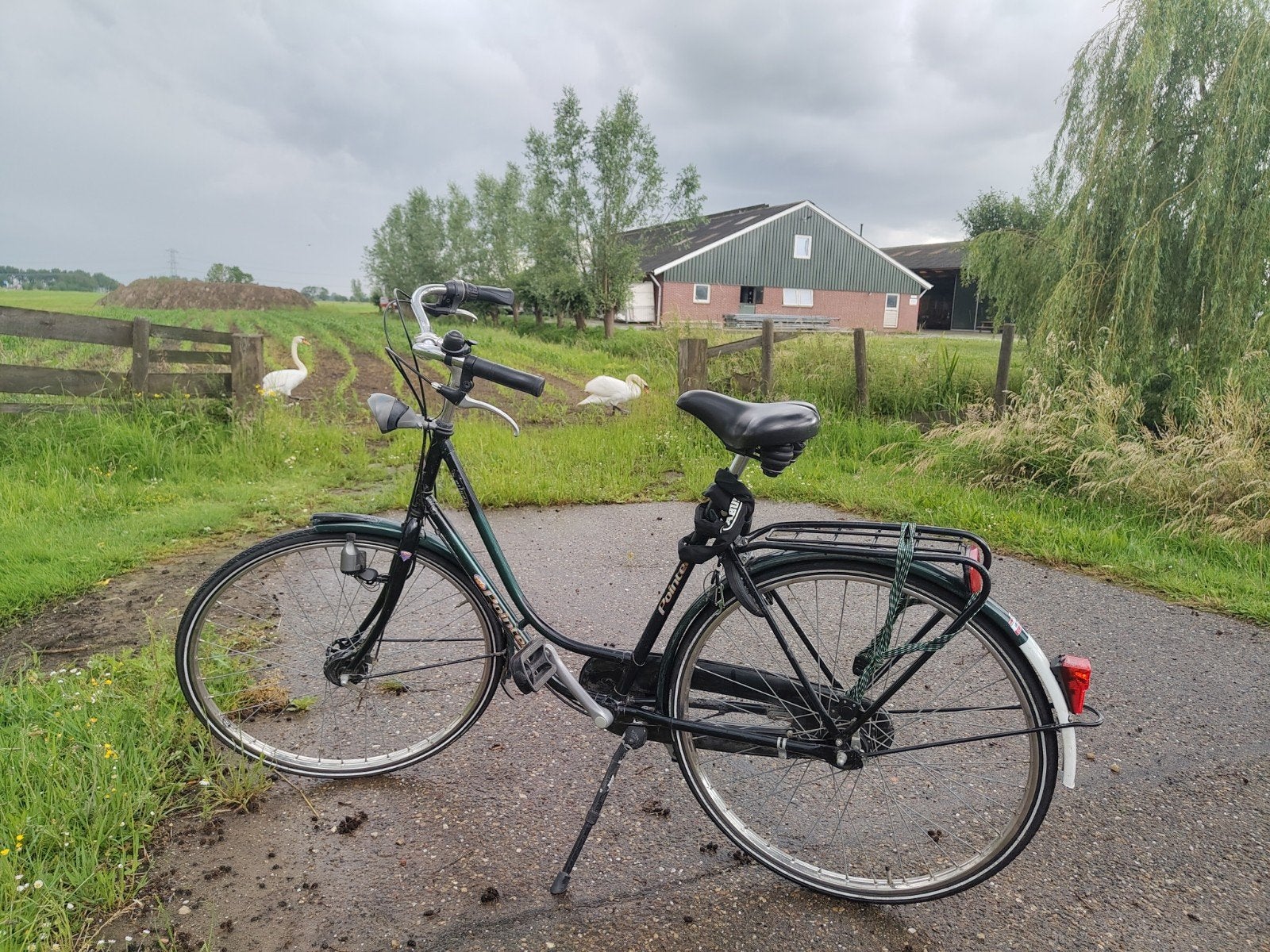 Damesfiets met 3 versnellingen, Velgrem, Versnellingen, Ophalen, Overige merken