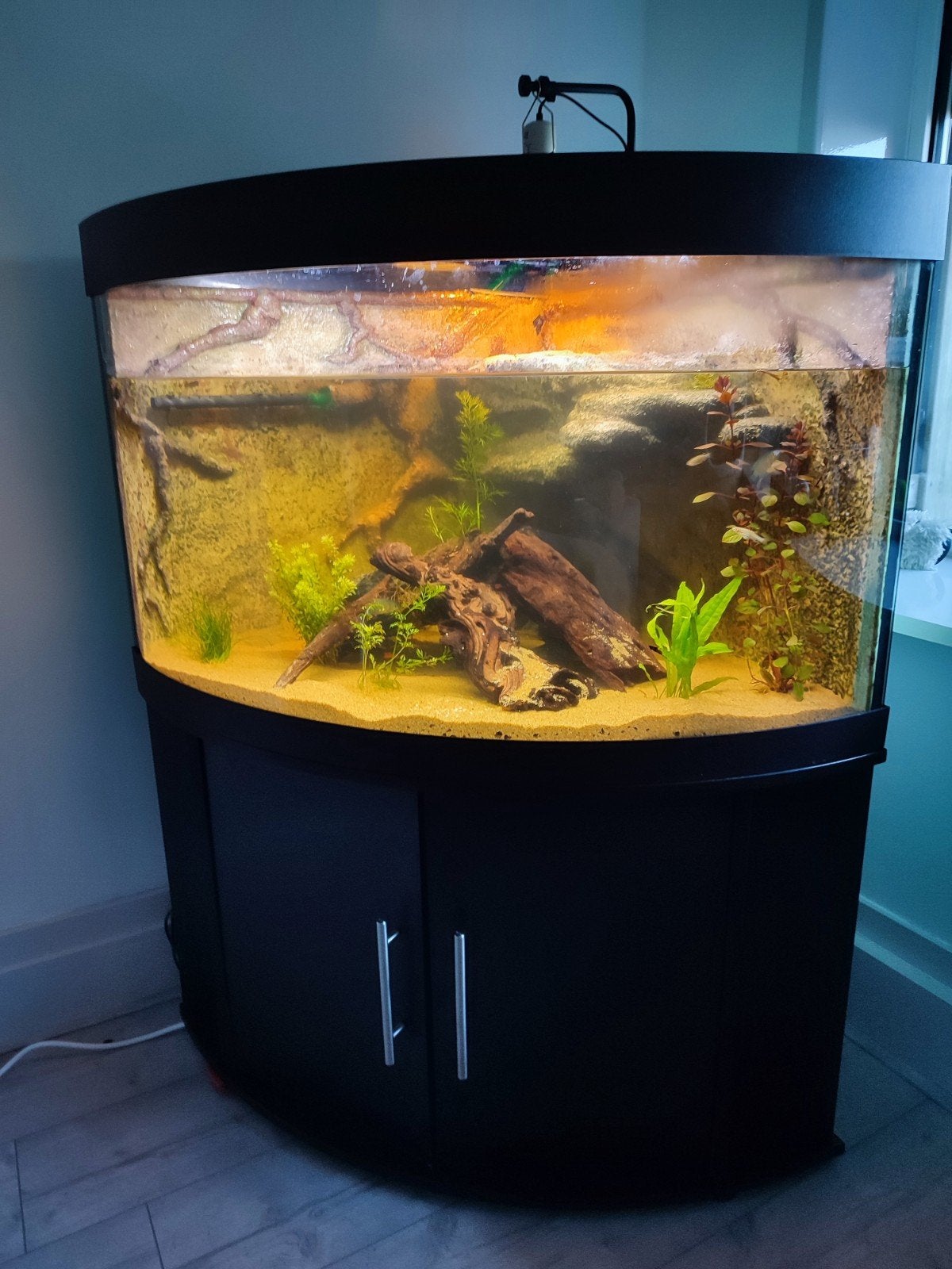 Juwell Hoek aquarium  (zonder meubel), Ophalen