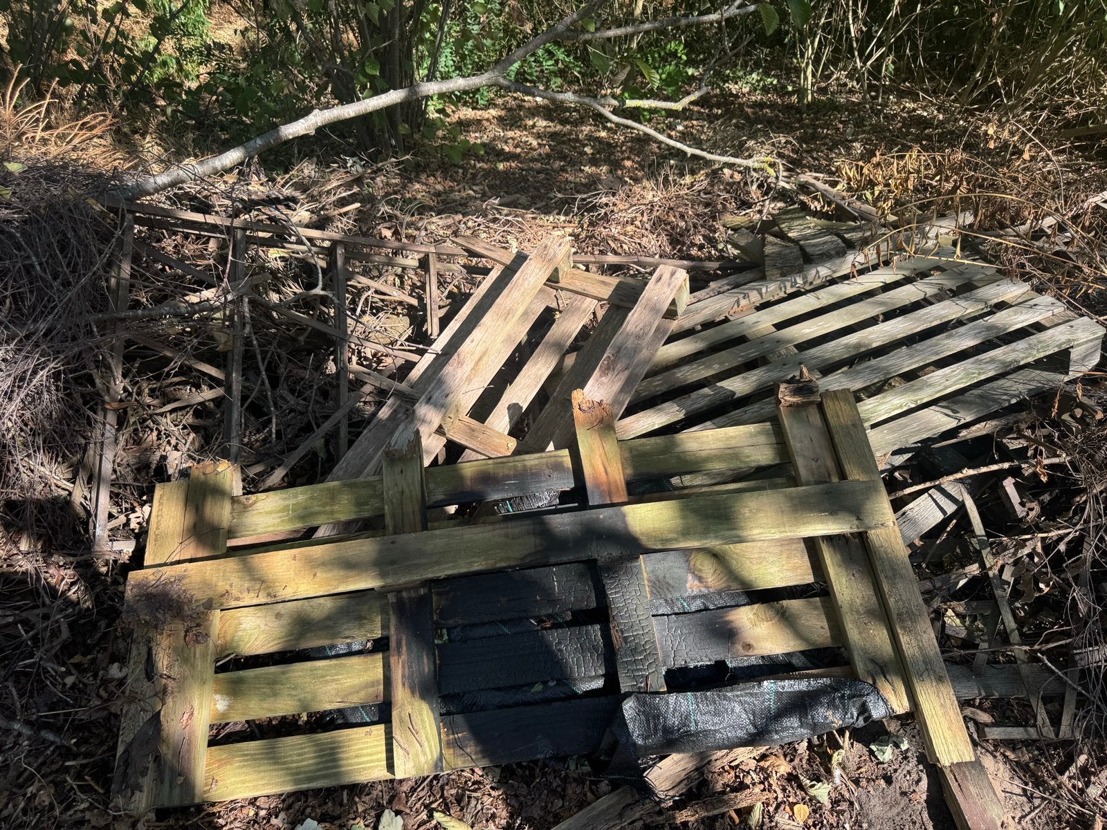 Gebruikt pallethout & openhaardhout, Doe-het-zelf en Verbouw, Hout en Planken, Ophalen, Gebruikt, 25 tot 50 mm, Pallet
