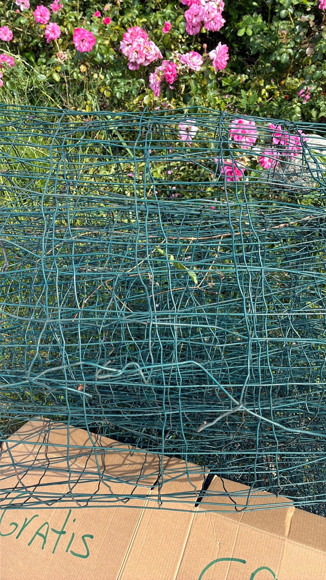 Gratis Tuingaas, Tuin en Terras, Gaas en Draad, Ophalen, Gebruikt, 10 tot 20 meter, Gaas