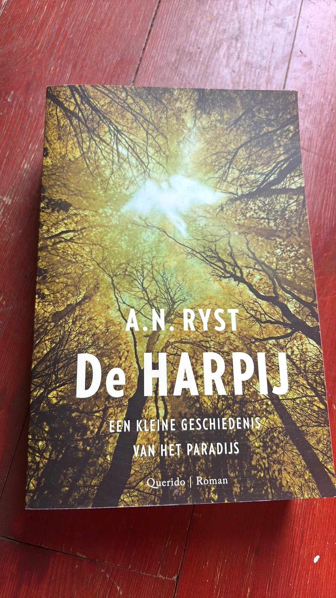 A.N. Ryst - De harpij magisch realisme duivel oerbos, Ophalen of Verzenden, Zo goed als nieuw, A.N. Ryst