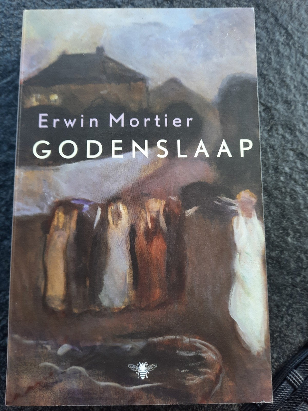 Erwin Mortier - Godenslaap, Ophalen of Verzenden, Zo goed als nieuw, Erwin Mortier