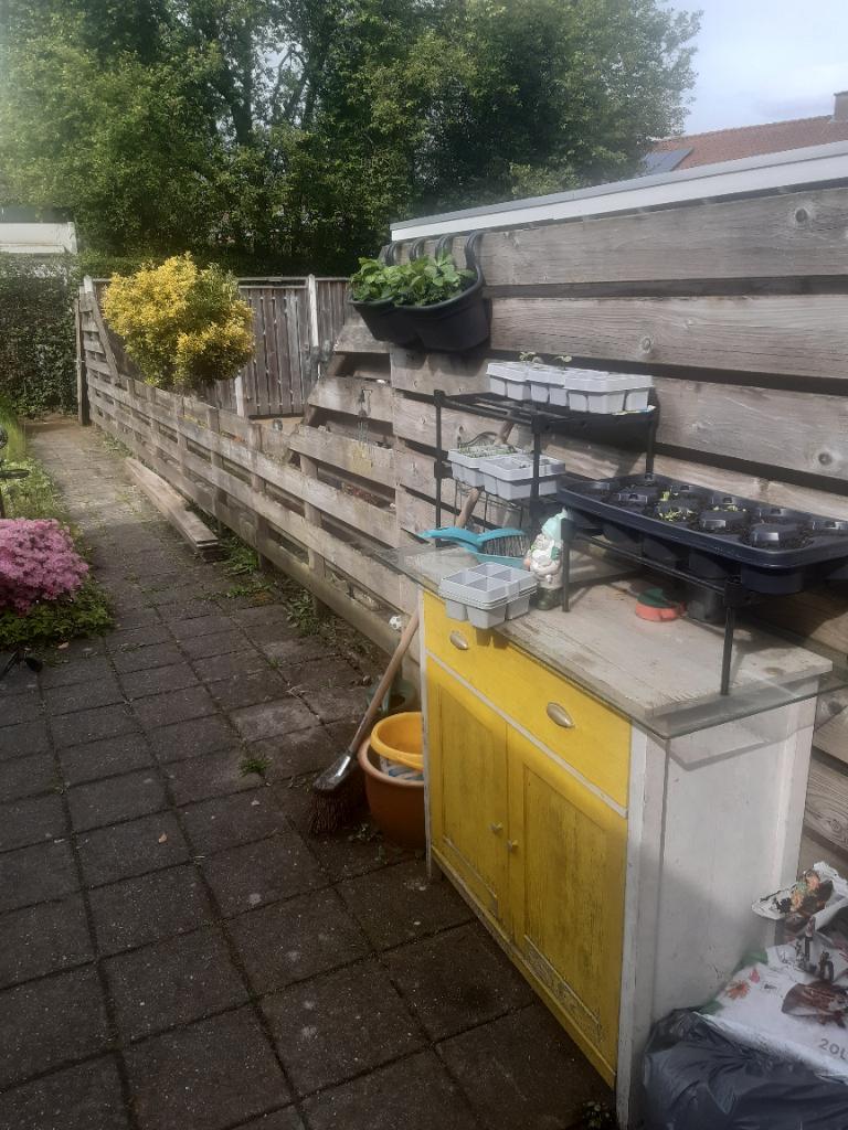Gebruikte houten schutting, Tuin en Terras, Schuttingen, Ophalen, 6 meter of meer, Hout, 1 tot 2 meter