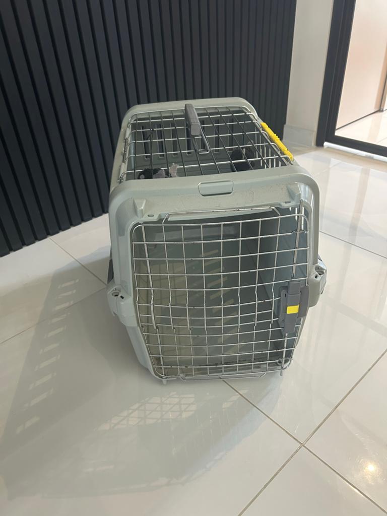 Dieren vervoerbox, Ophalen, Zo goed als nieuw