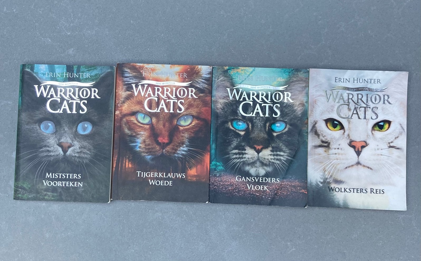Warrior Cats vier mini avonturen, Ophalen of Verzenden, Gelezen