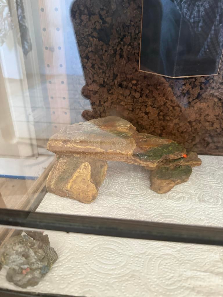 Terrarium 80x35x30 with accessories, Dieren en Toebehoren, Reptielen en Amfibieën | Toebehoren, Ophalen, Gebruikt, Terrarium of Paludarium