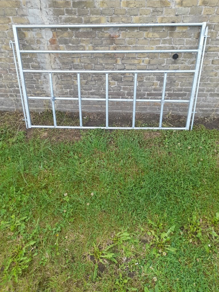 doorloop hekjes  voor lammeren, Dieren en Toebehoren, Schapen, Geiten en Varkens, Vrouwelijk, Schaap