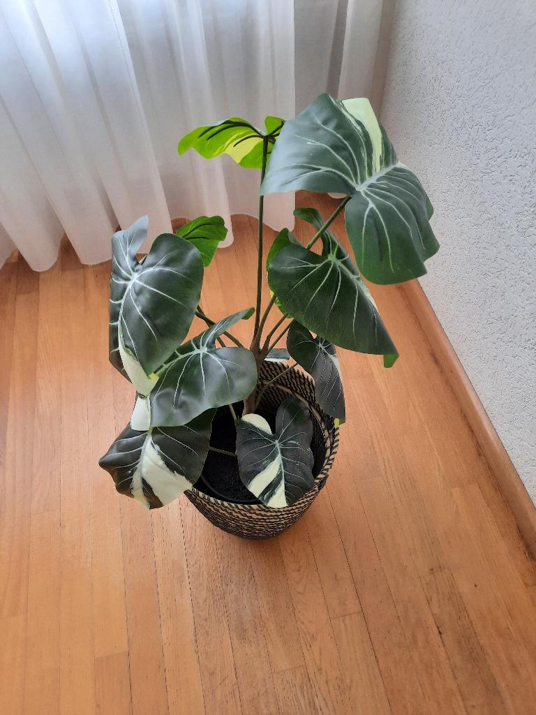 Kunstplant met mand, Gebruikt, Kunstplant, Ophalen of Verzenden, Kunststof