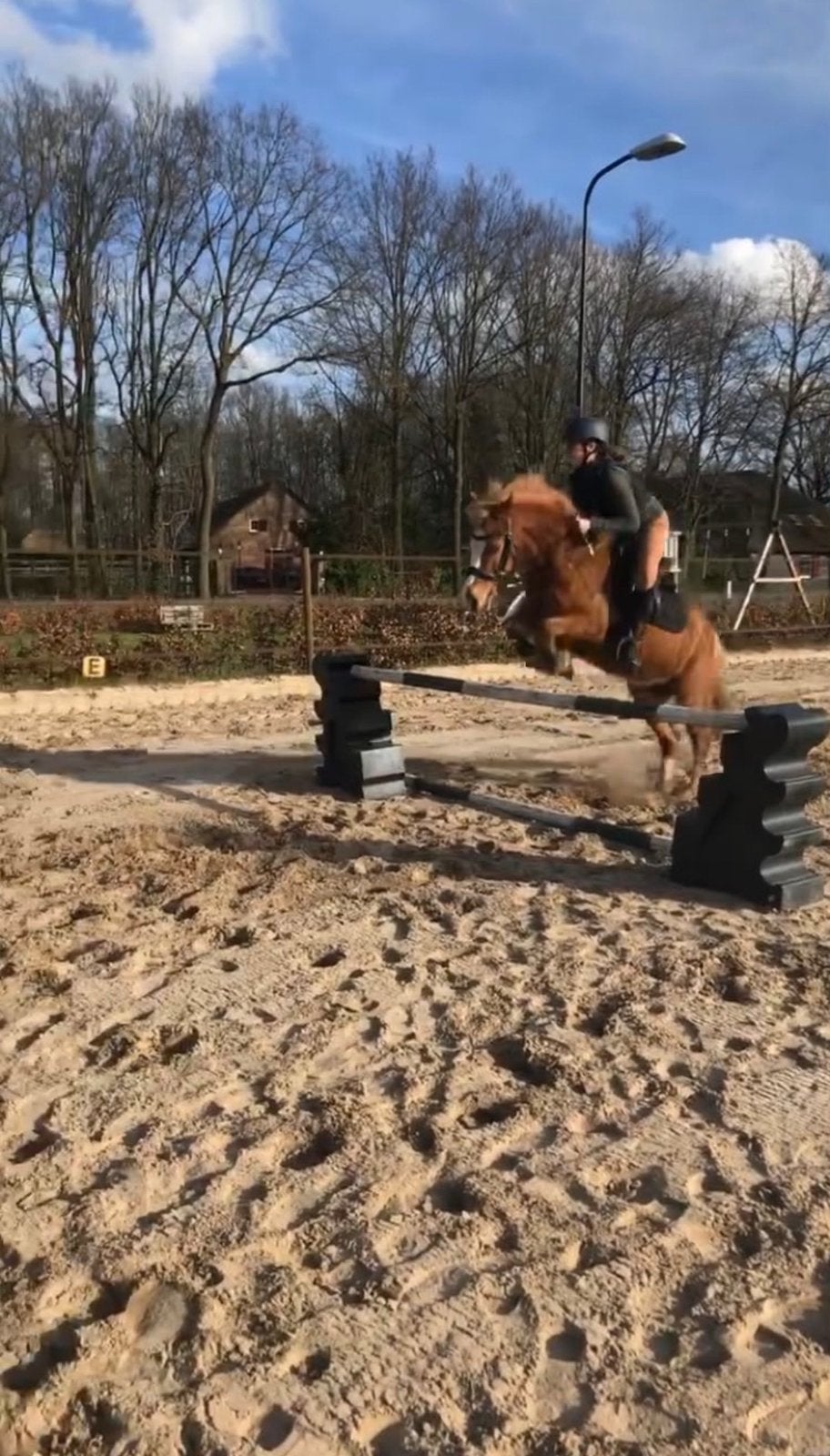Verzorgpony gezocht!, Dieren en Toebehoren, Ophalen, Zo goed als nieuw