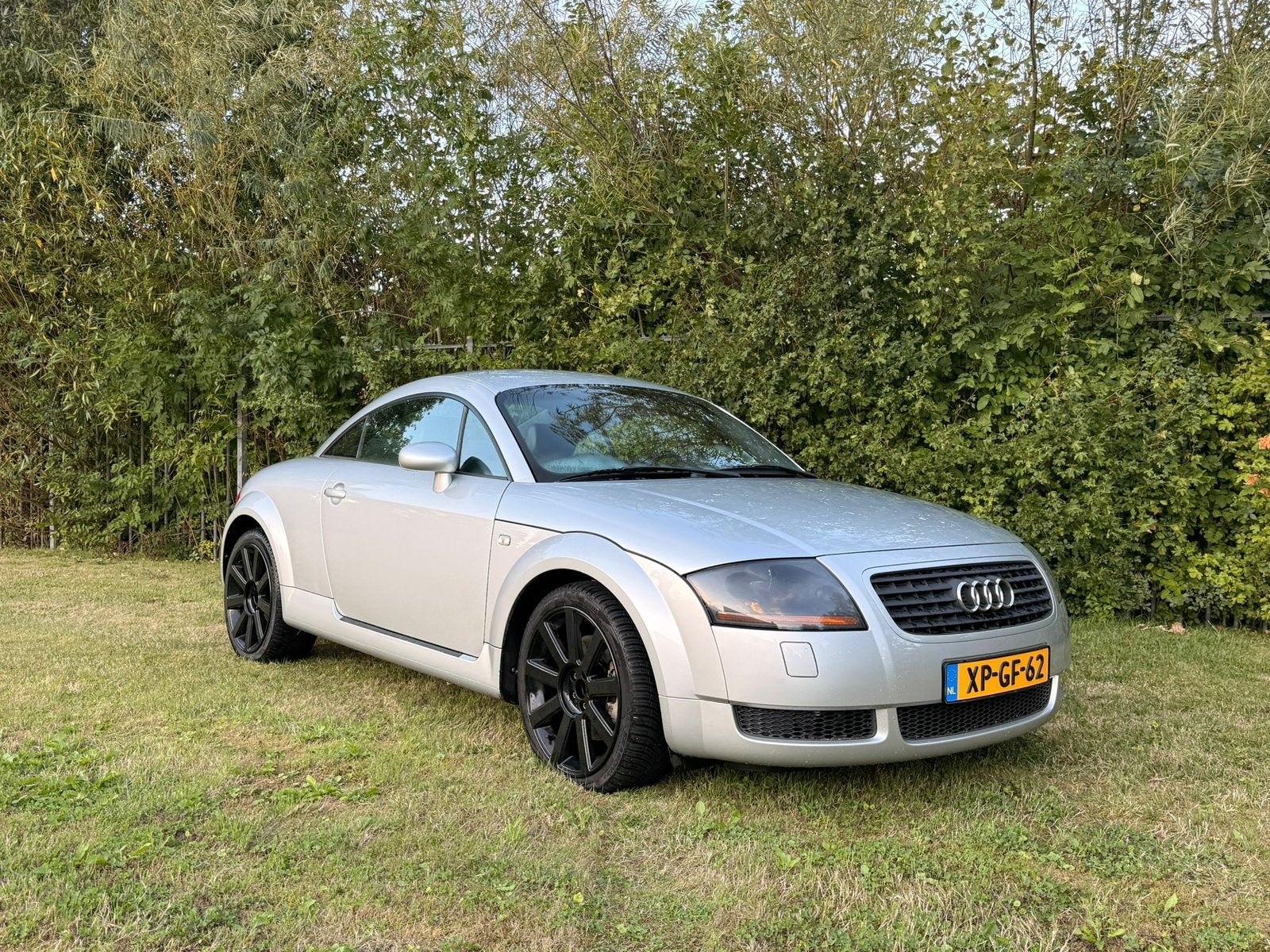 Audi TT 1.8 T Coupe 132KW 1999 Grijs