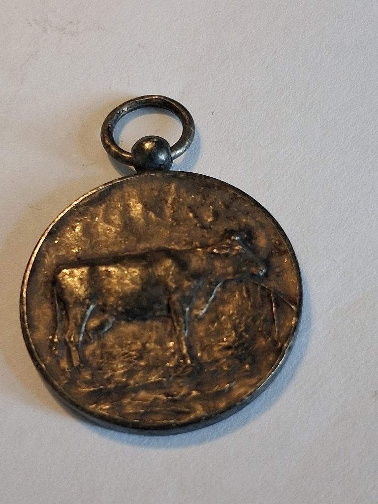 Te koop: Antiek zilveren medaille uit 1922, F.V.D Didam, Ophalen, Zilver, Nederland