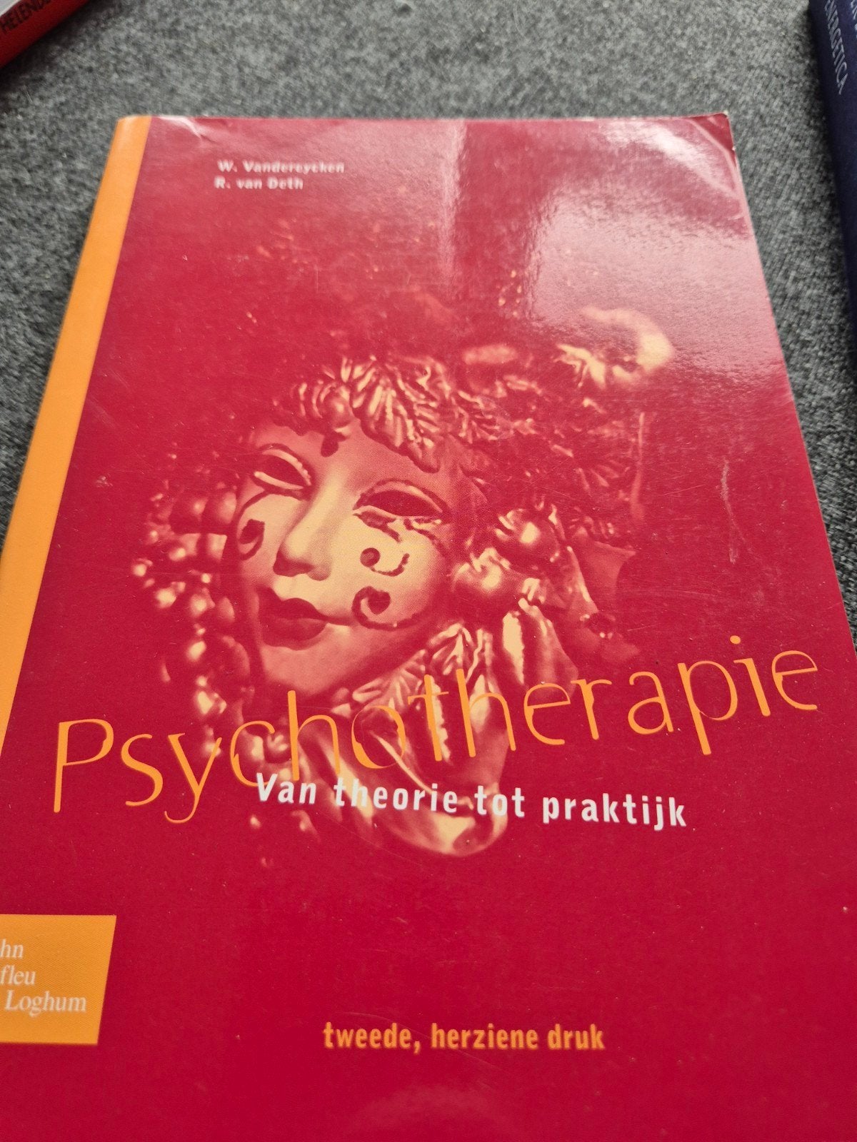 Walter Vandereycken - Psychotherapie, Ophalen of Verzenden, Zo goed als nieuw, Walter Vandereycken; Ron van Deth
