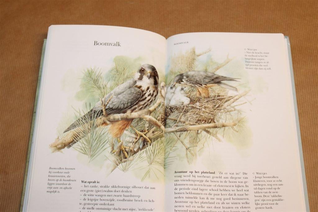 Kijk Op Vogels — In Bos En Hei [Bastin & De Haan], Ophalen of Verzenden, Gelezen, Vogels