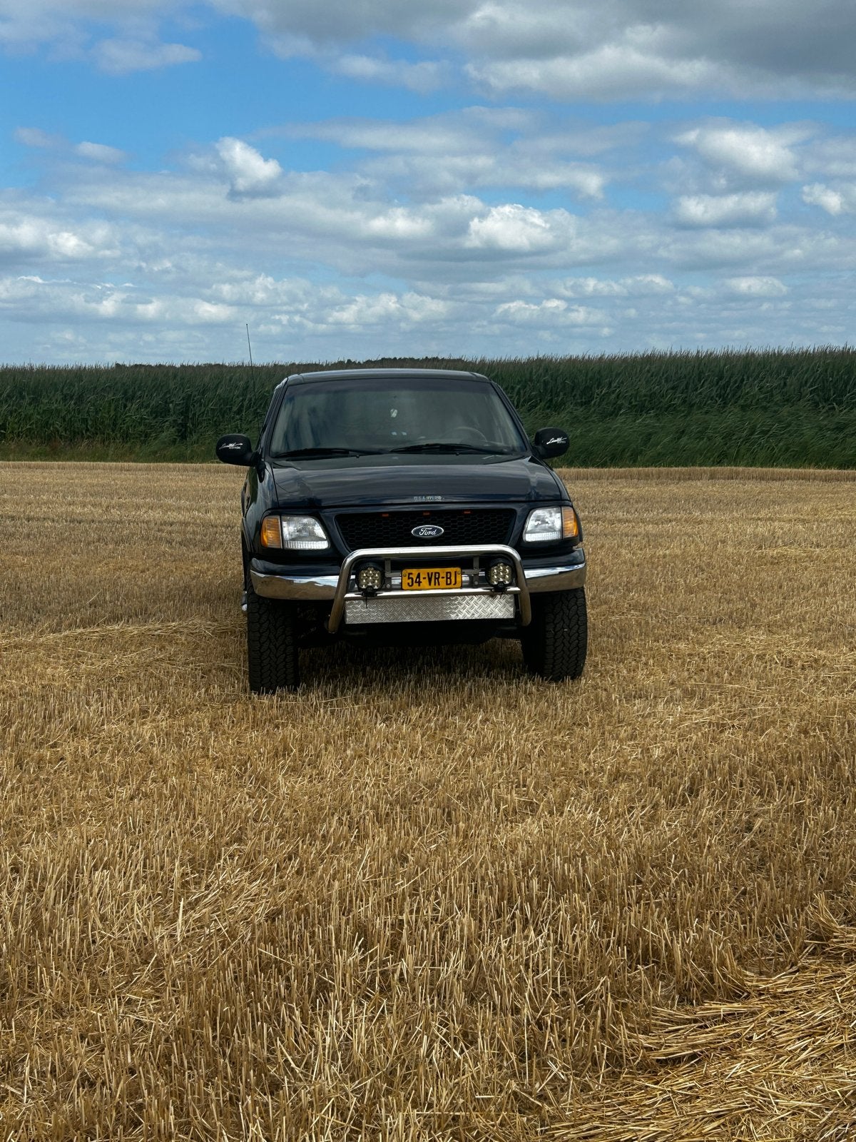 Ford f150 5.4 triton, Auto's, 8 cilinders, USB, Origineel Nederlands, Overige kleuren