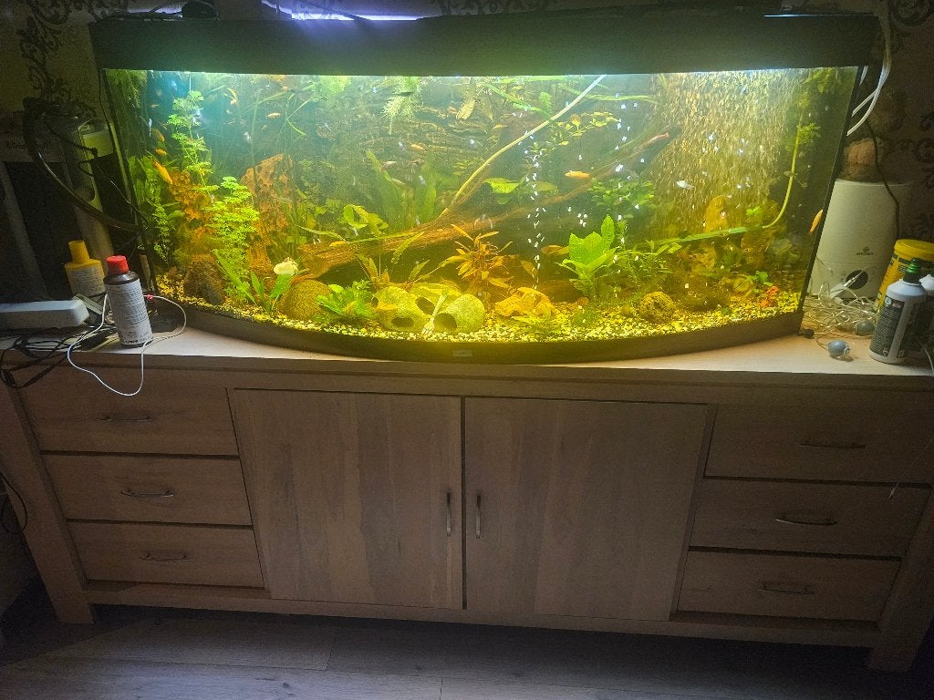 Aquarium juwel 450, Dieren en Toebehoren, Ophalen, Zo goed als nieuw, Leeg aquarium