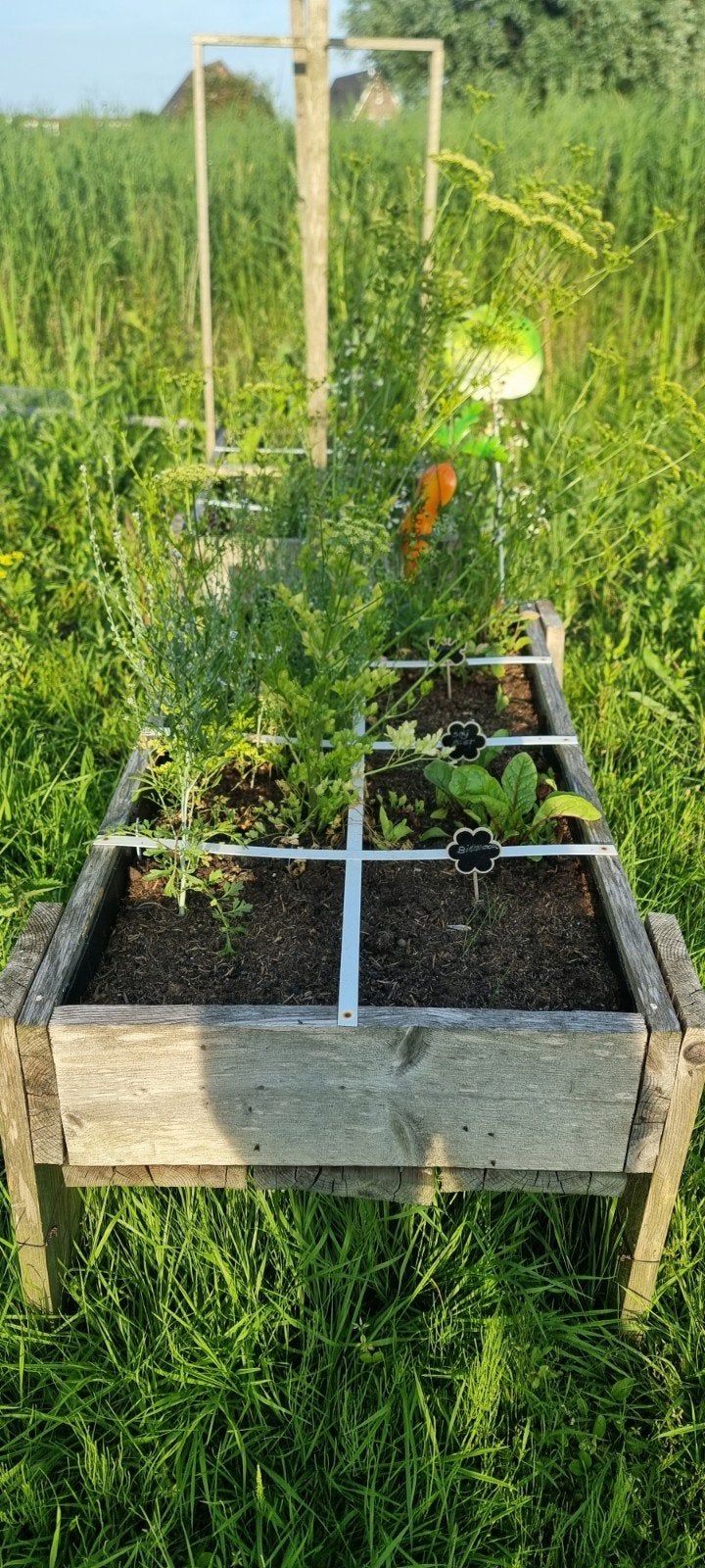 6 stevige moestuinbakken, gevuld en klaar voor gebruik, Gebruikt, Ophalen of Verzenden, 60 tot 100 cm, Rechthoekig