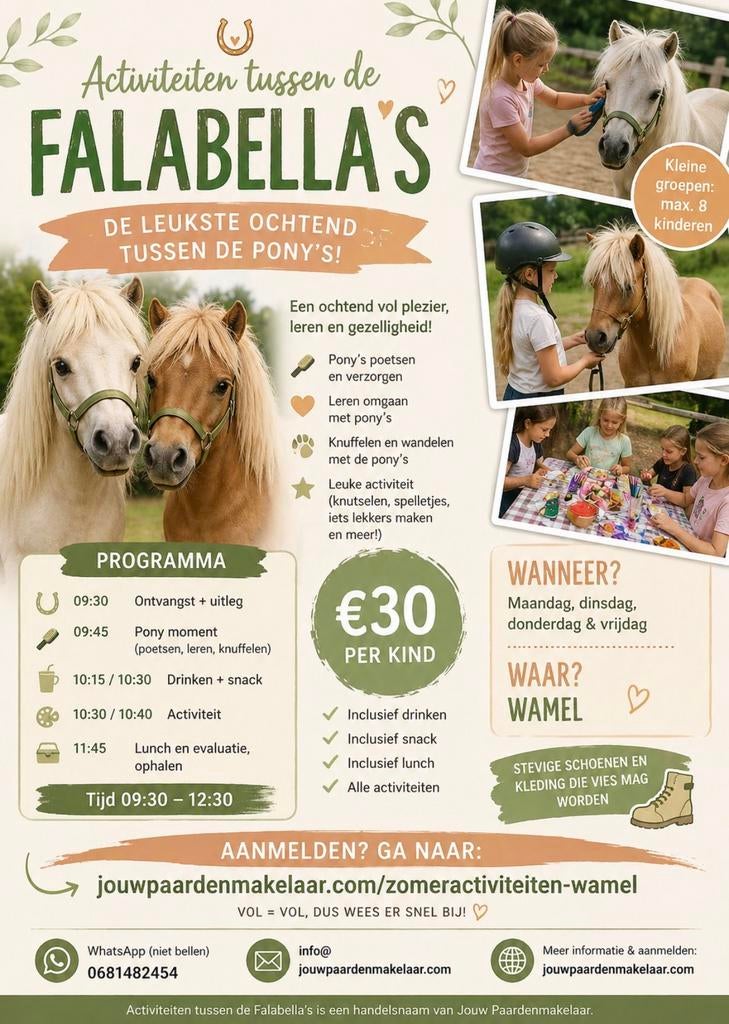 Zomervakantieactiviteiten tussen de Falabella’s!, Ophalen