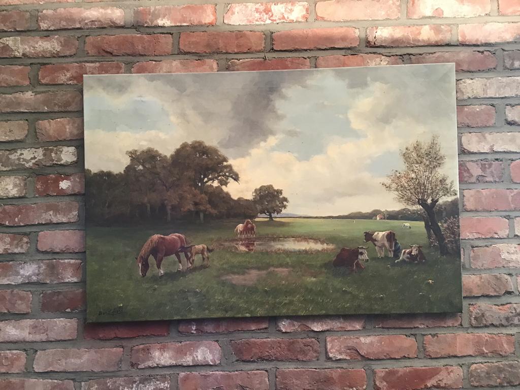 Prachtig schilderij olieverf op doek Bert Alers, Ophalen of Verzenden