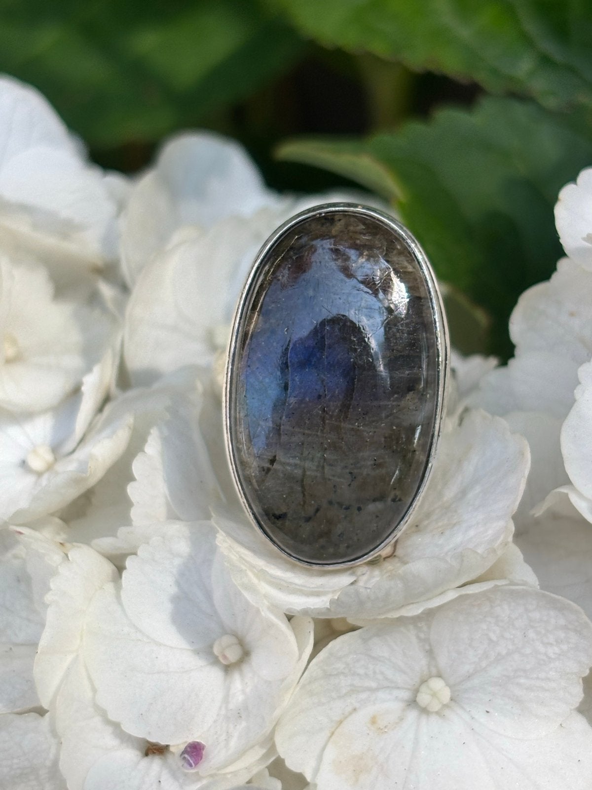 Prachtige Labradoriet ring, maat 17, Sieraden, Tassen en Uiterlijk, Ringen, Overige kleuren, Nieuw, Ophalen of Verzenden, 17 tot 18