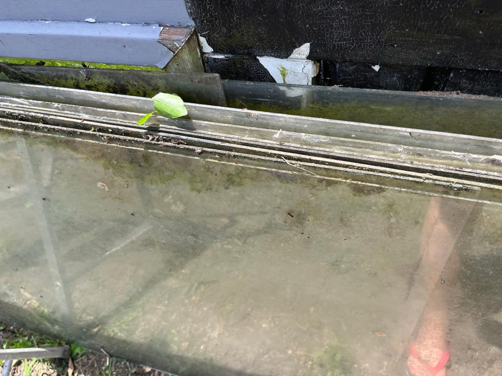 Glas voor plantenkas - Diverse afmetingen, Ophalen, Gebruikt, Minder dan 80 cm, 120 tot 160 cm