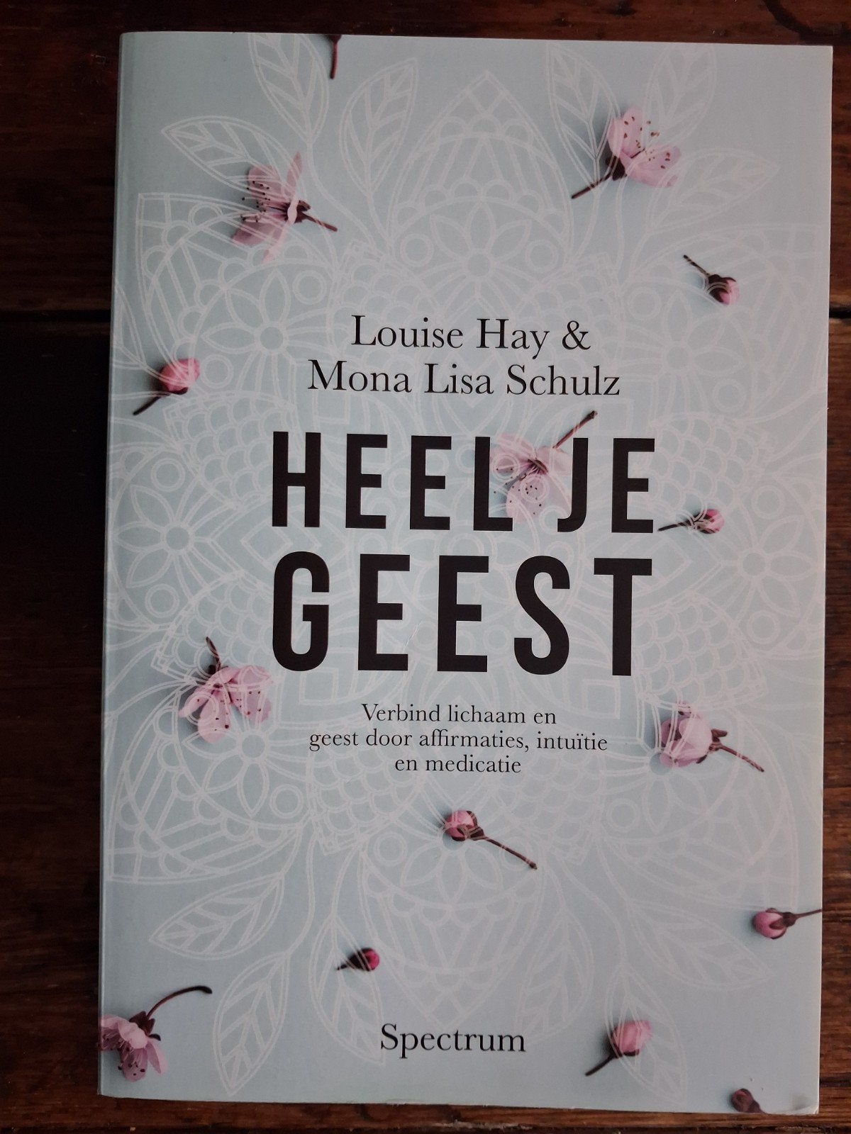 Louise Hay  & Mona Lisa Schulz- Heel je geest, Boeken, Gelezen, Achtergrond en Informatie, Spiritualiteit algemeen, Ophalen of Verzenden